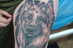 Hunde Portrait Tattoo von Good Times Tattoo Philippsthal